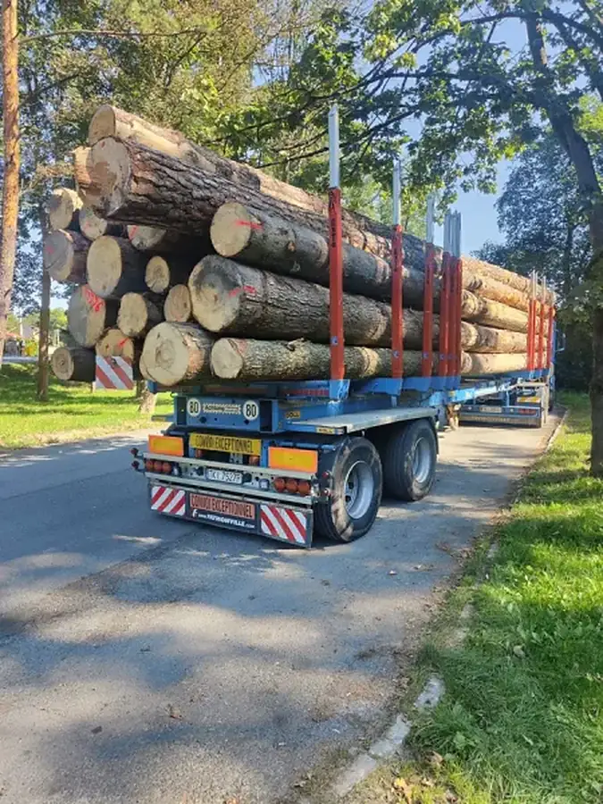 Ładunek kłody